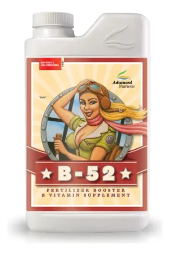 B52  *1LT.