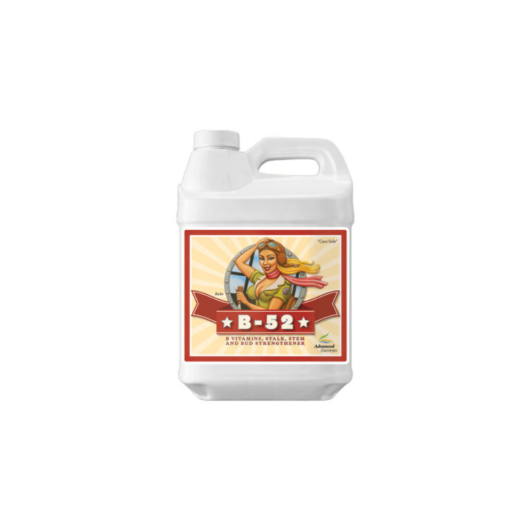 B52  *500ml.