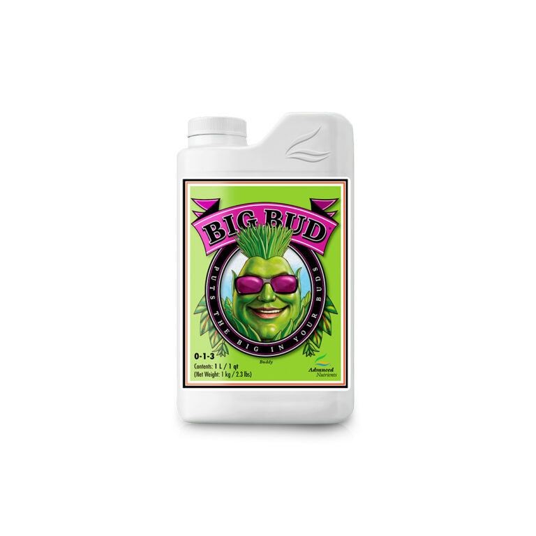 BIG BUD *250ml.